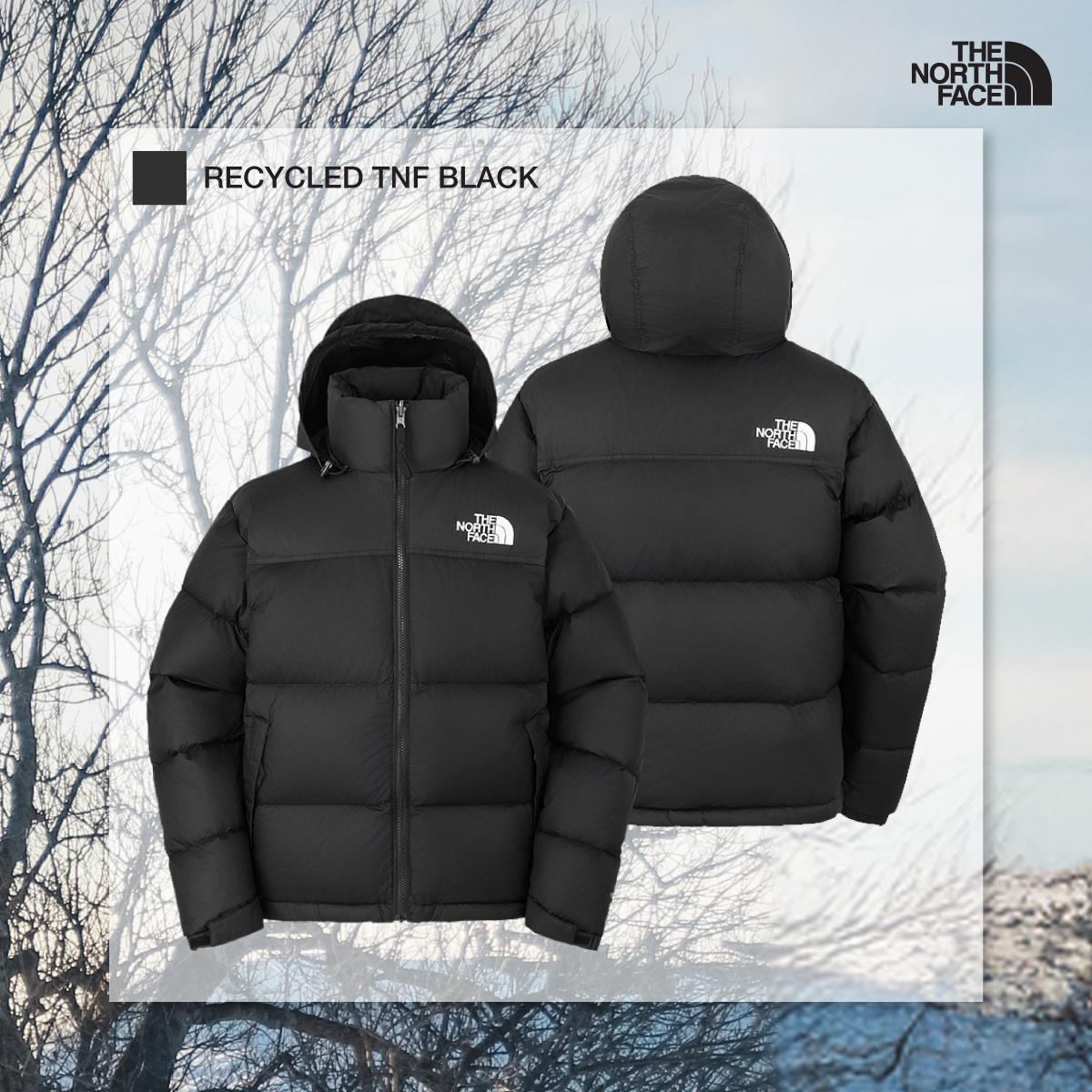 THE NORTH FACE フード収納式 ユニセックス ダウンジャケット